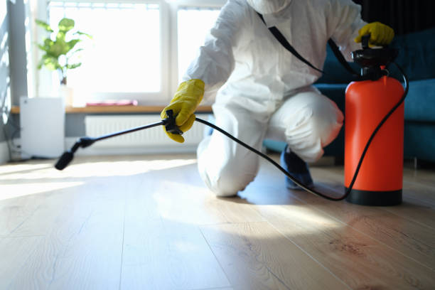Reliable Infectious Disease Decontamination contractor in Pope Valley, CA by Trauma Clean Pros